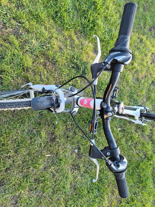 Rower Kross Lea Junior Replica 24"