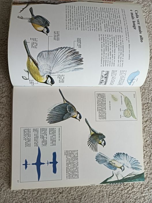 Natureza - Enciclopédia Juvenil com	muitas fotografias e ilustrações