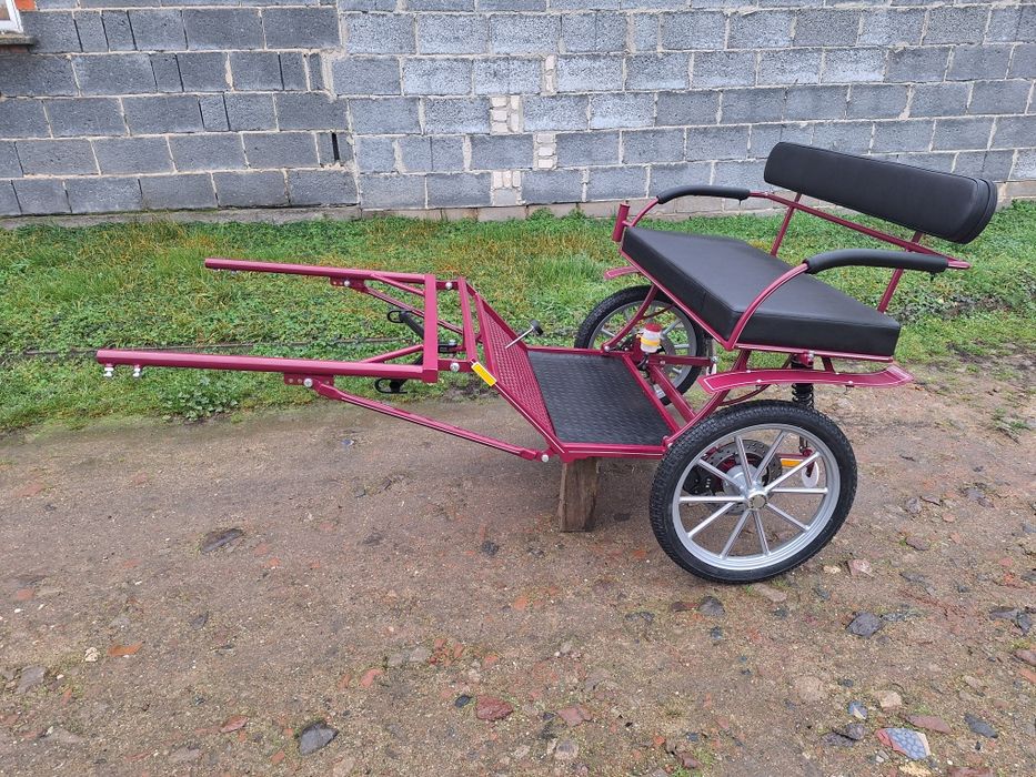 Bryczka powóz sulky koń kucyk
