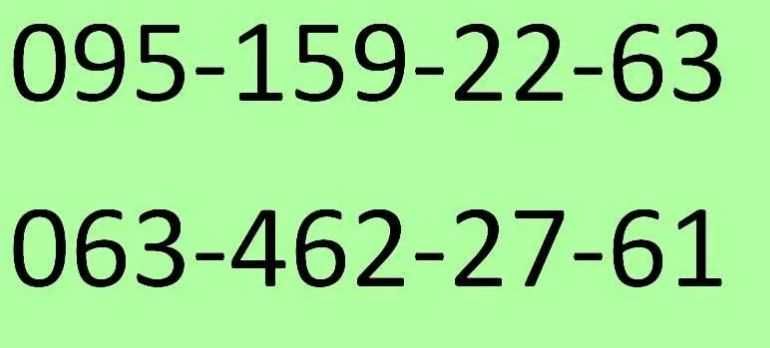 Акваріум з усім необхідним