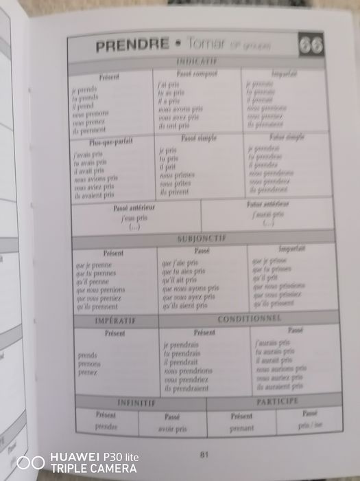 Dicionário de verbos português - francês
