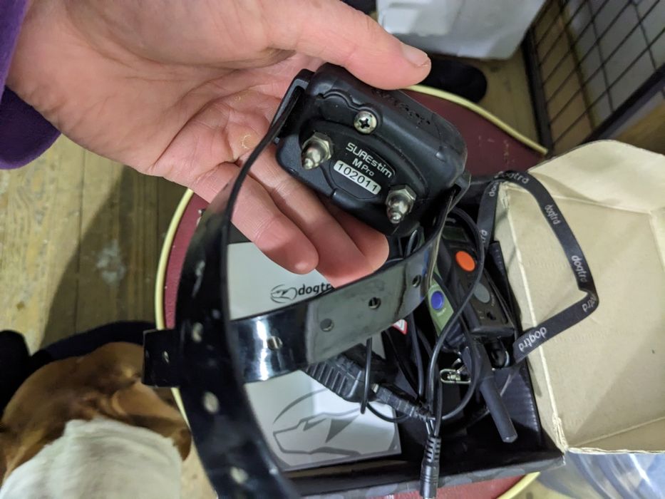 dogtra surestim m pro