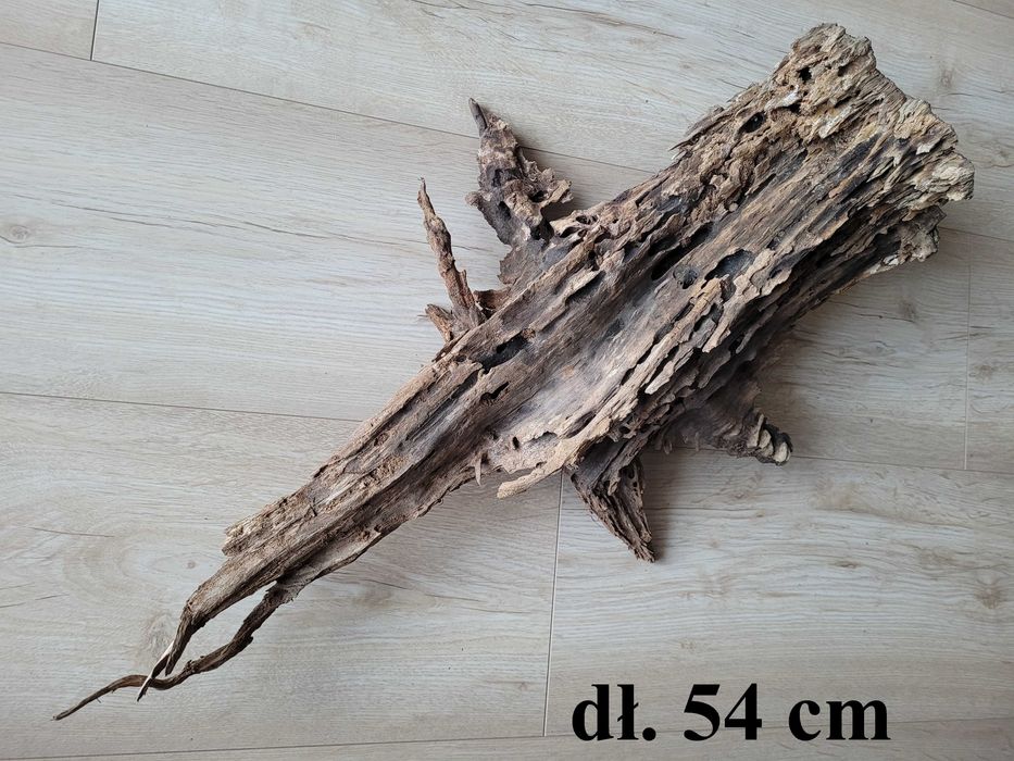 Duży naturalny korzeń do akwarium / terrarium - dł. 55 cm
