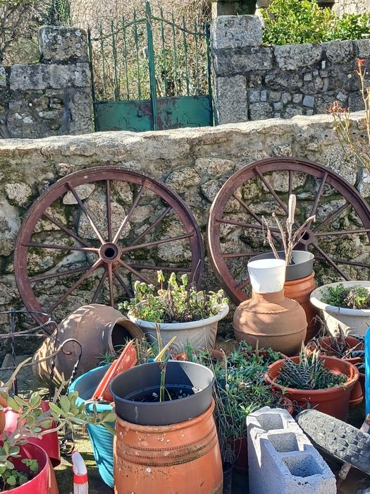 Rodas de carro de boys antigas