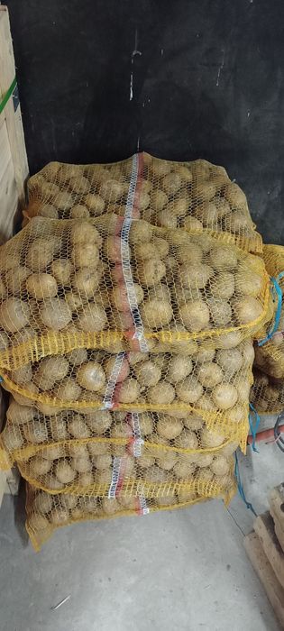 Ziemniaki Bryza Jadalne