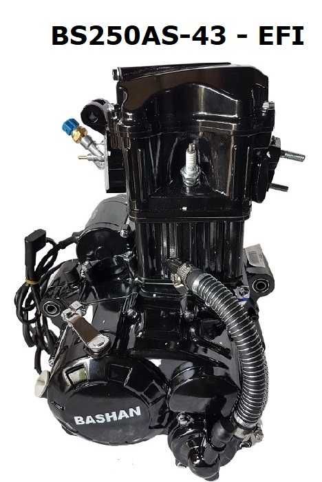 Silnik – BS250AS-43 EFI - MIX