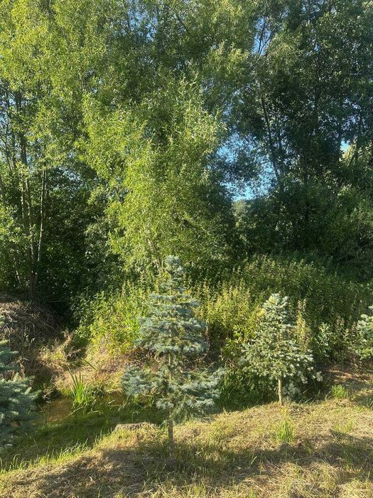 Продаж ділянки Брюховичі