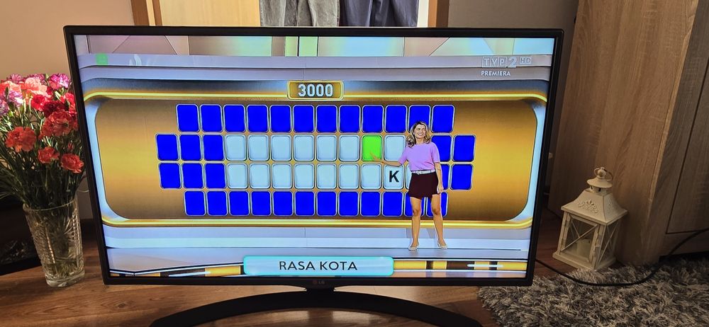 Telewizor LG 42 Cale Pilot USB YouTube