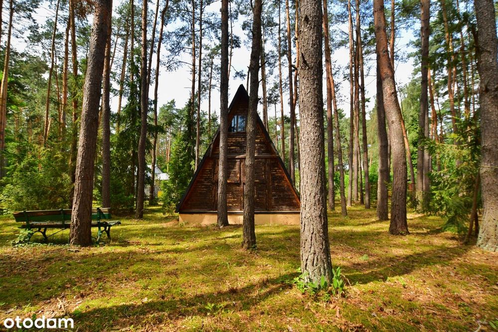 Dwie leśne działki z klimatem, zabudowa letniskowa i całoroczna
