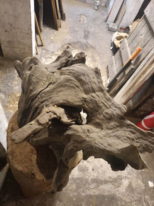 Akwarium 500 litrów