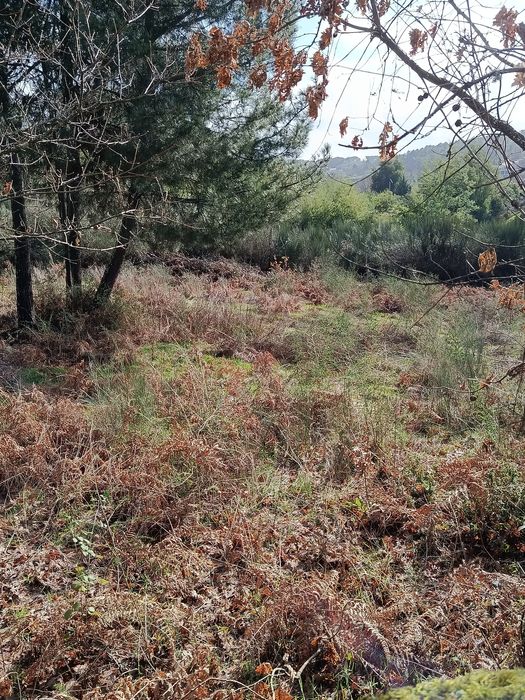 Terreno para Construção