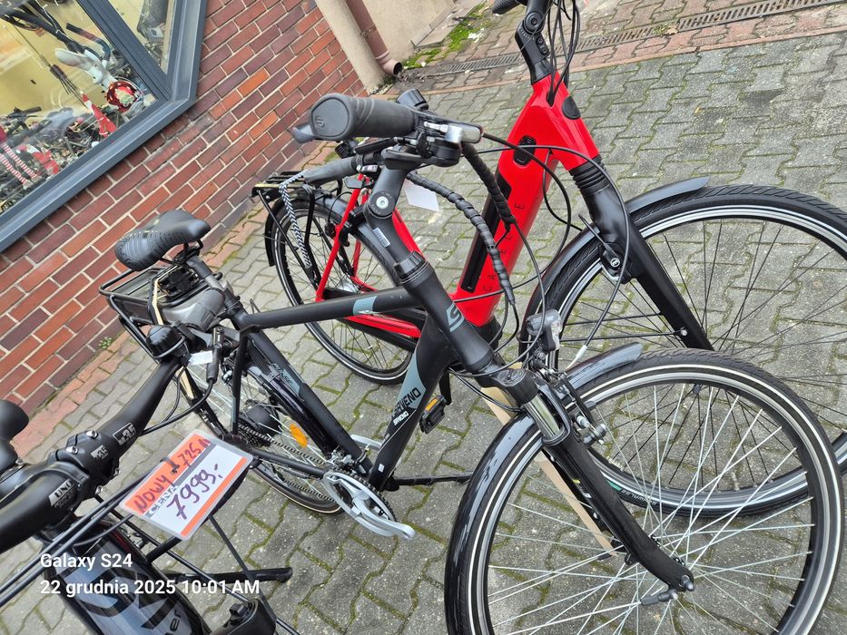 Rowery Curtis/Giant/Sparta/Gazelle/Batavus/MTB/Pegasus/Altra/KCP/Union