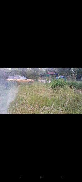 Sprzątanie działek i podwórek