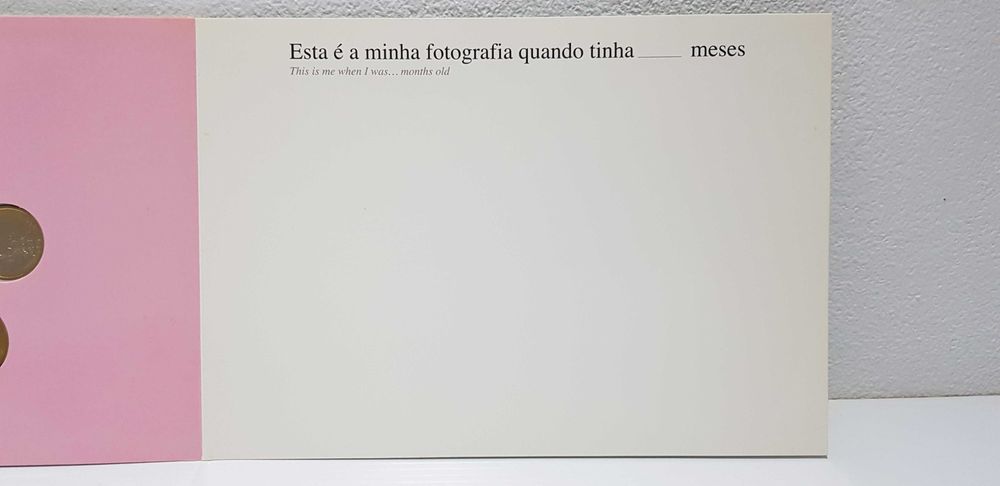 Série de moedas de Euro Anual 2005 "Bebé" Flor do cunho