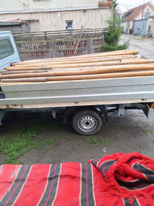 Tyczki bambysowe naturalne