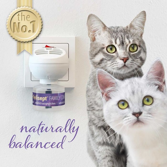 OKAZJA Felisept Family Comfort Dyfuzor + Flakon 45 ml