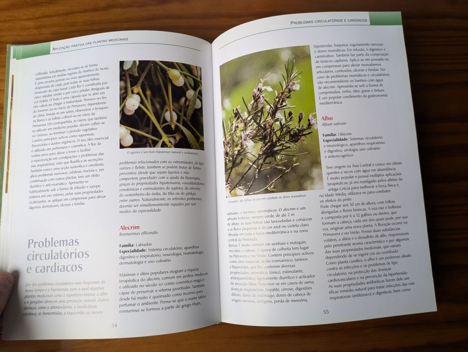 Novo Guia das Plantas Medicinais