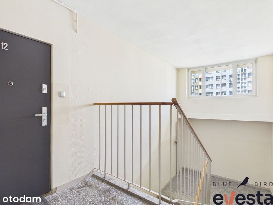 3 pokoje | Huby | Balkon | Pod wynajem