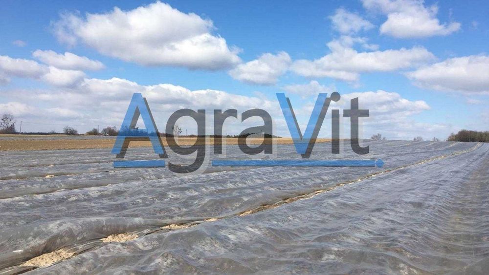 Folia ogrodnicza perforowana UV Agravit