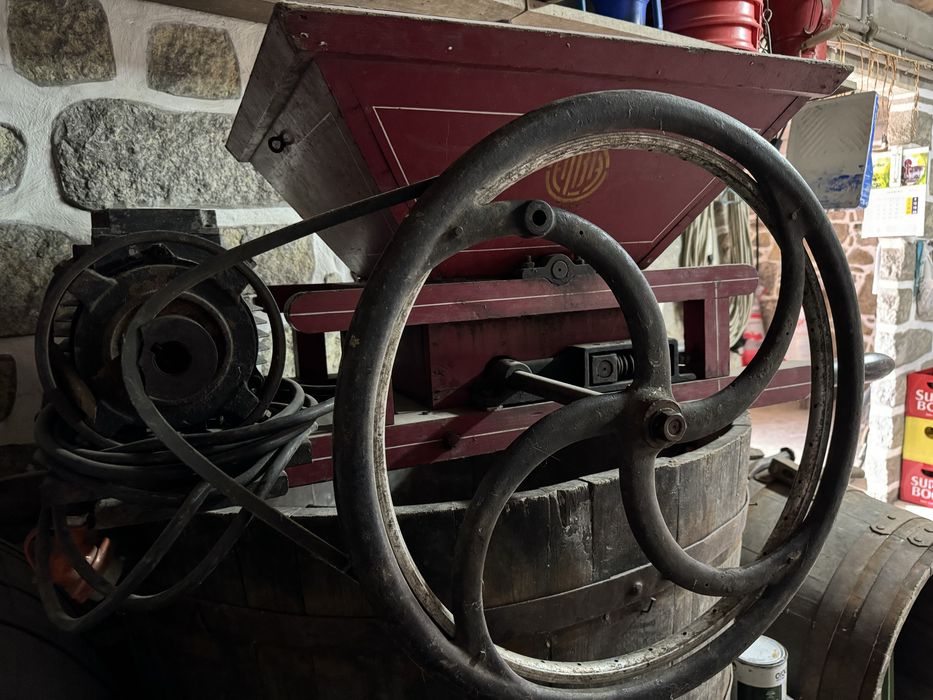 Realador de vinho eletrico