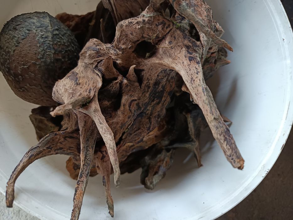 Akwarium 112 L (bez życia) z całym wyposażeniem i szafką