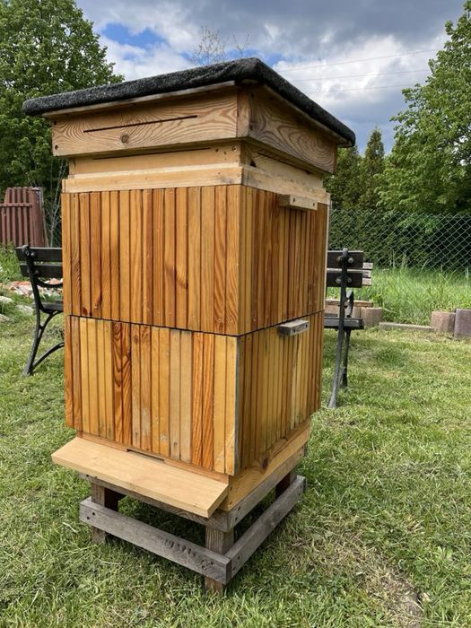 Ule wielkopolskie na 10 ramek