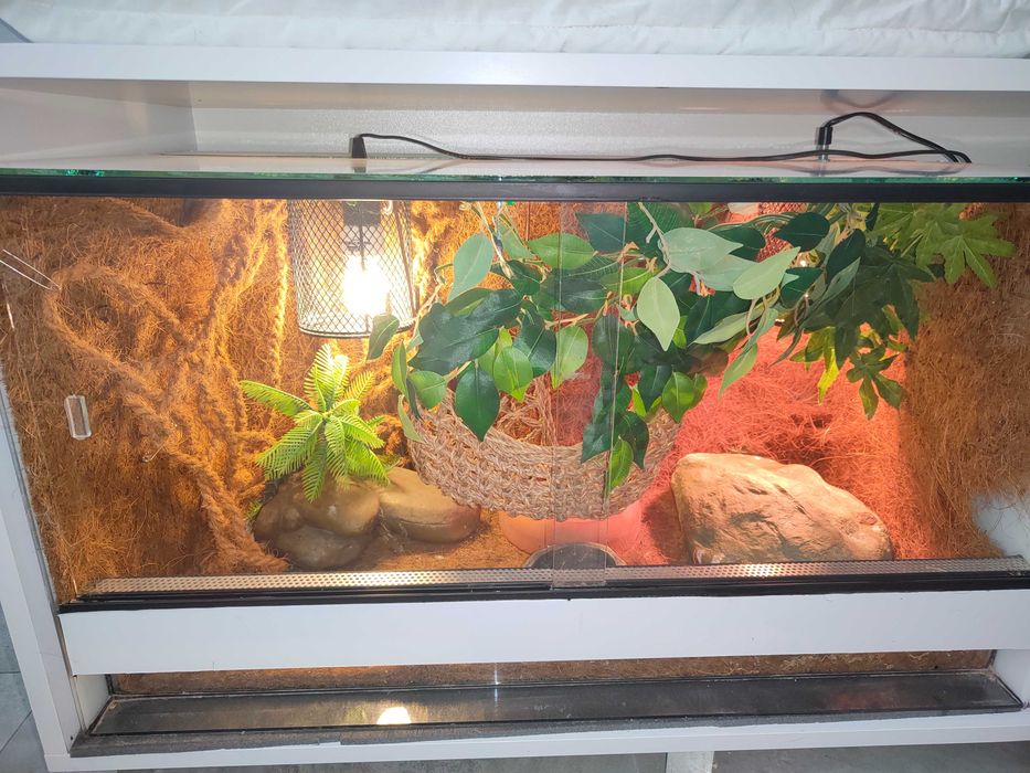 Sprzedam terrarium dla agamy