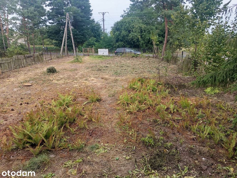 Siedlisko w Biskupicach gmina Trawniki - Więcej