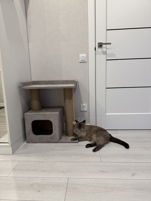 Когтеточка с лежанкой для кота