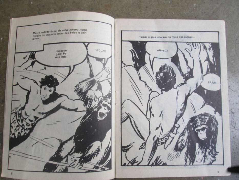 Tamar, o Leão Negro