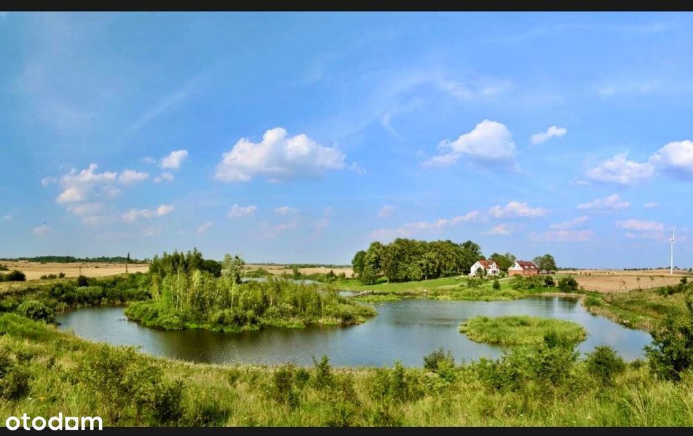 Zdjęcie 8