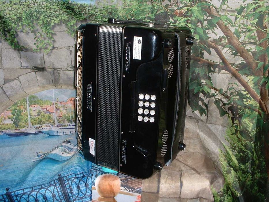 Concertinas a venda N.798 Penedono • OLX Portugal