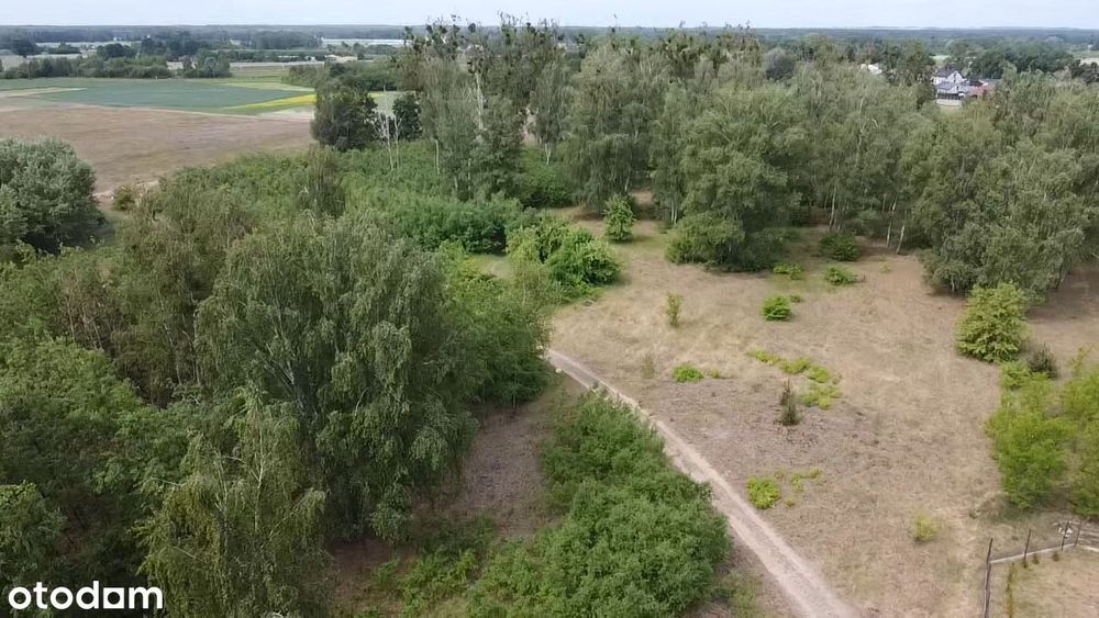 Trzciel - działki budowlane, spokojne miejsce, nowy podział, wz – pohled 2