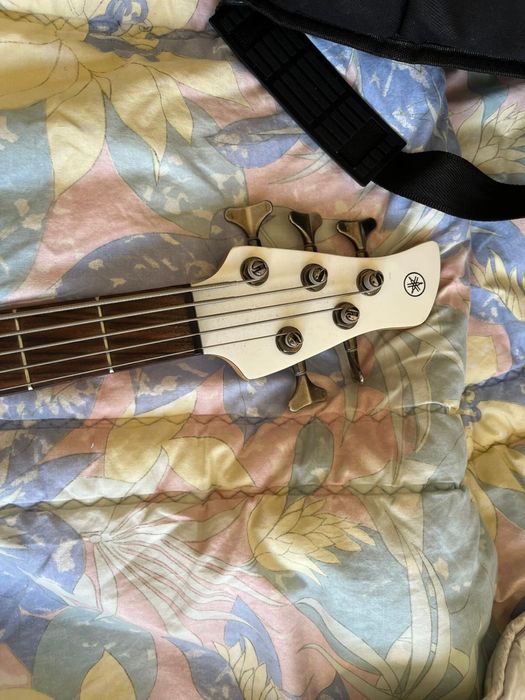 Baixo 5 cordas TRBX 306