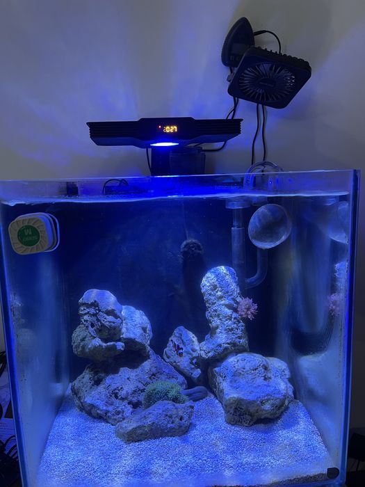 AQUARIO CUBO MARINHO 50x40x40