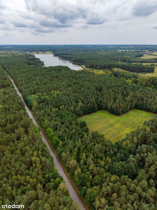 Otulona lasem – wyjątkowa działka 1,35 ha