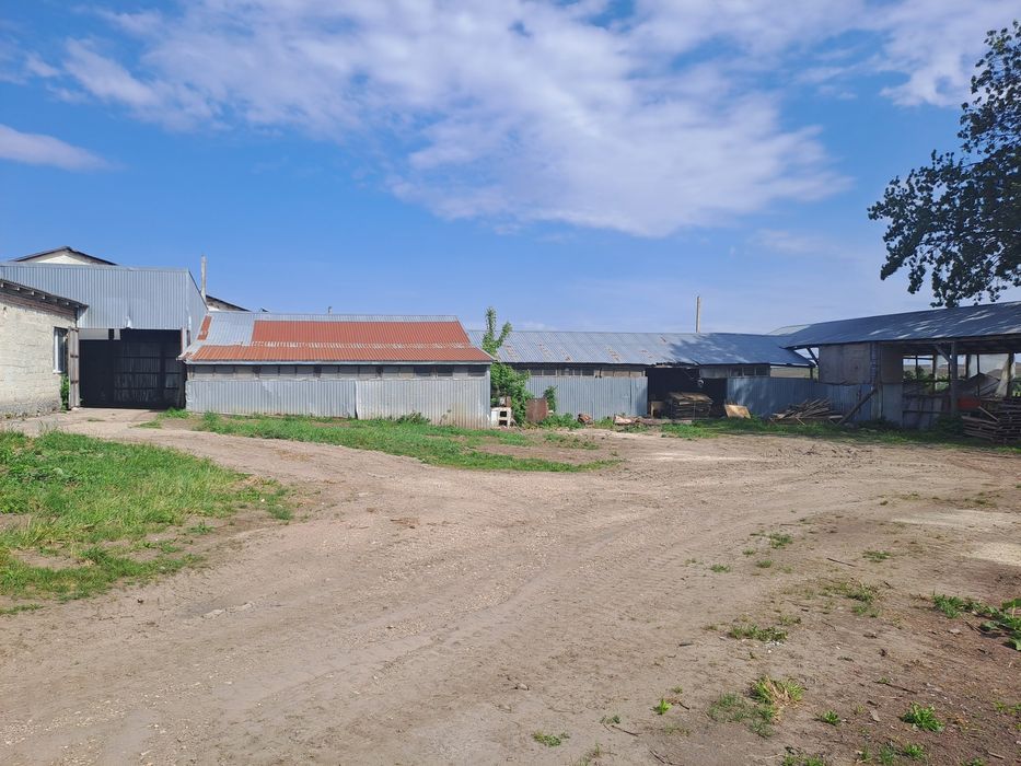 Продаж комерційного приміщення, с. Грабовець, 450 м²