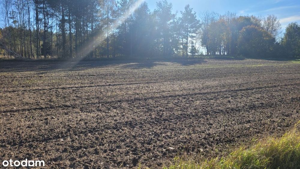 112zł/m2! Okazja! Działka w Donimierzu k. Szemuda