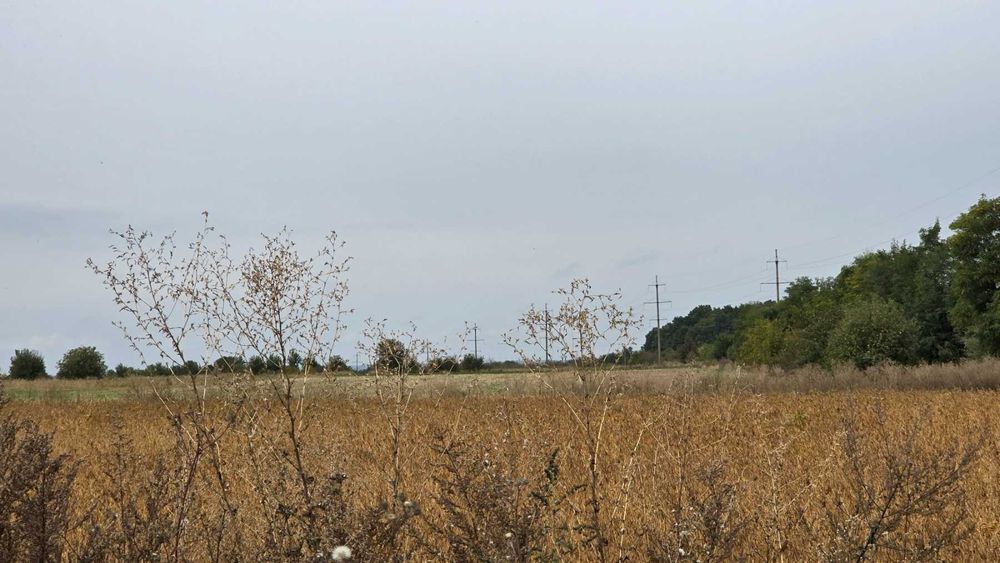 Продам ділянку в селі Рівець 9052