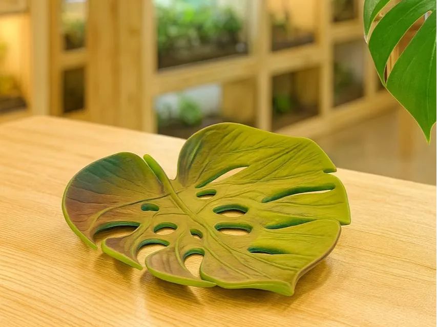 Taça Folha Monstera