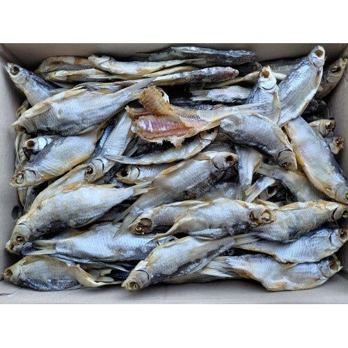 Продам сушена плотва