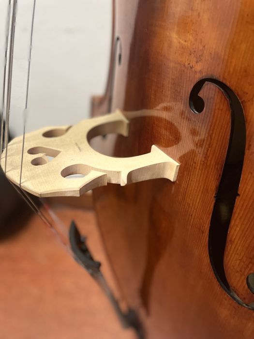 Contrabaixo de Cordas