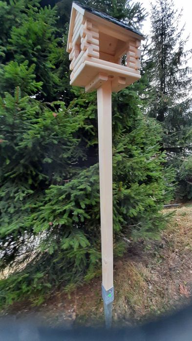 Karmnik dla ptaszków.