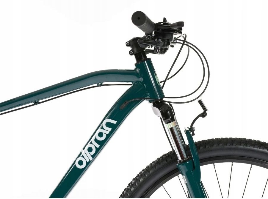 Canis 29" R 19" Zielony