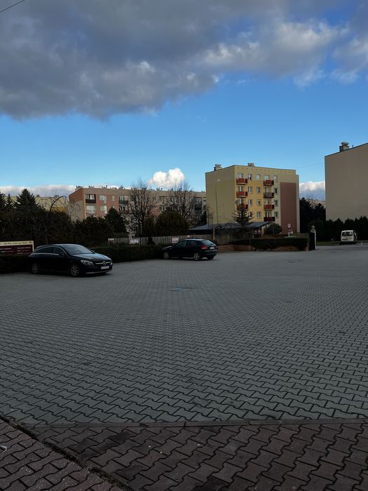 Lokal do wynajęcia