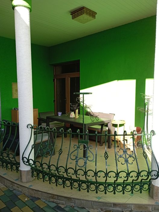 Дім 200 м2 ділянка 12 сотин Берегово Виноградна