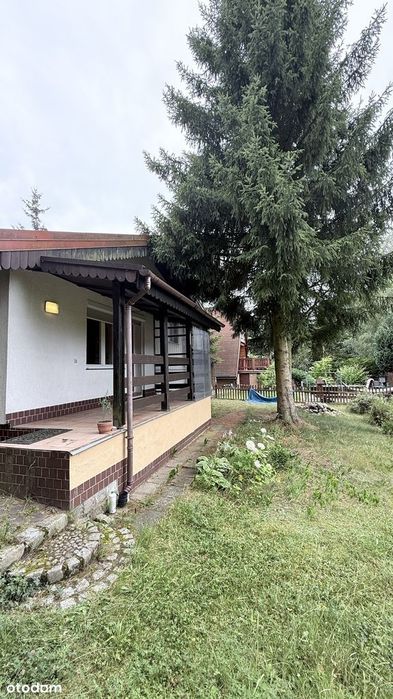 dom nad jeziorem przy lesie
