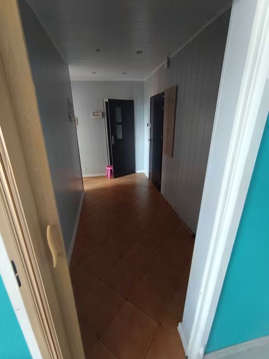 Mieszkanie M3 do wynajęcia