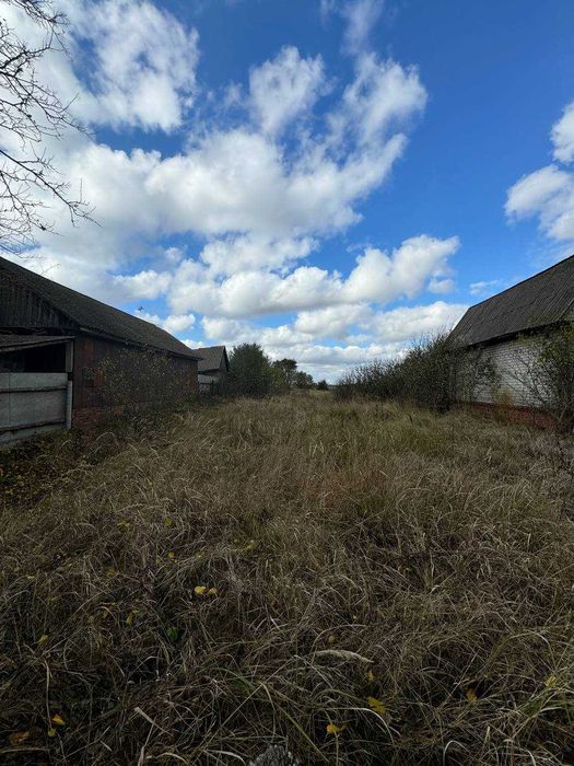 Будинок в селі Гориця