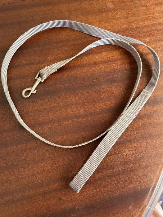 Trela pequena cinzenta